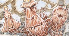 Ewandor, cliquez pour agrandir